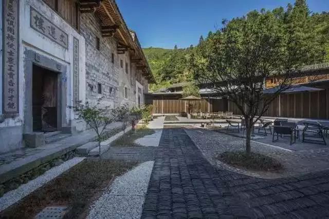 十里春风，不如一盏春茶