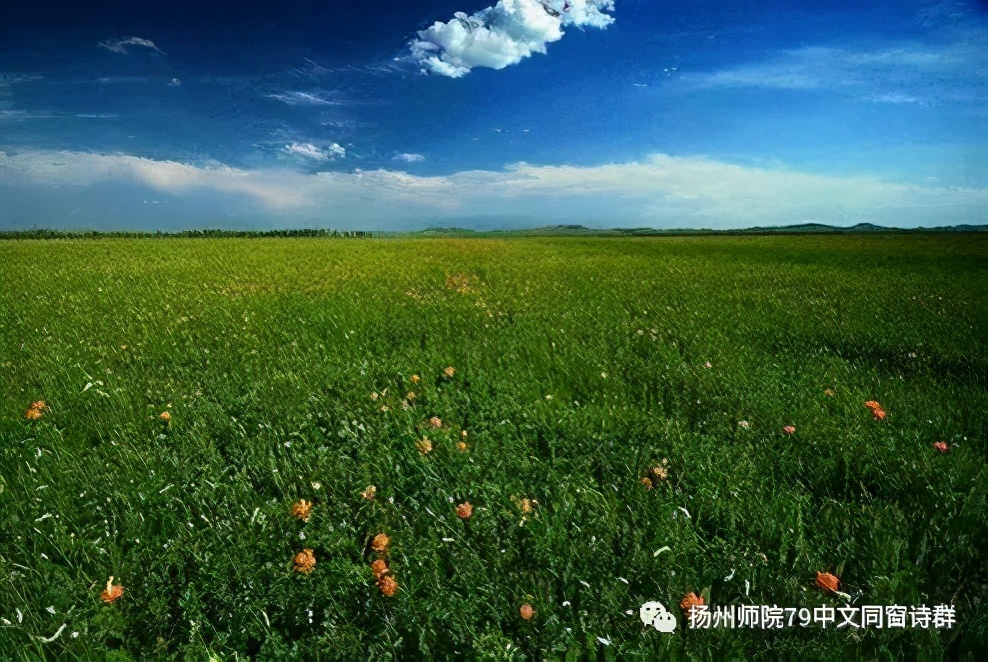 【老师去了，我每年来摩挲老师家的杨柳】