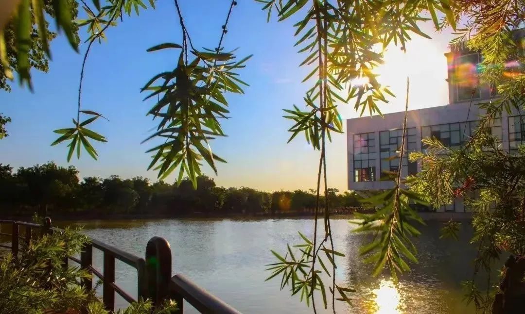 专插本院校广州工商学院,广州工商学院夏季高考大专