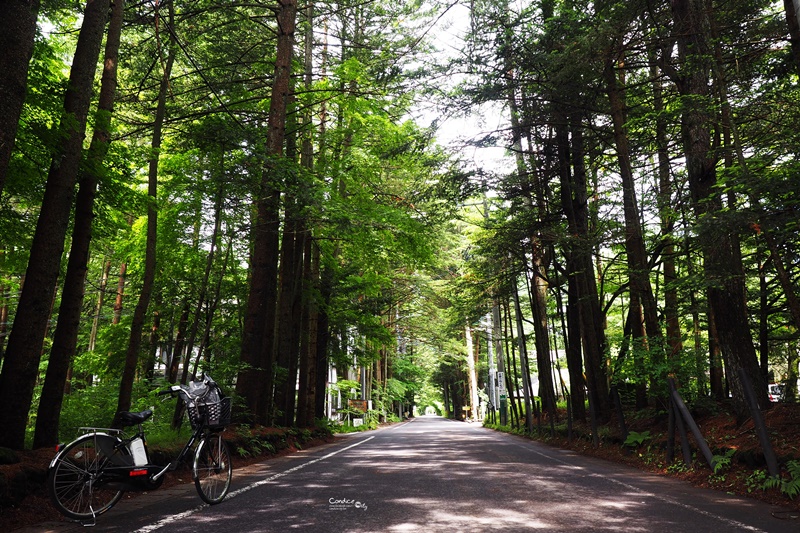 日本东京美食攻略自由行,东京旅游美食自由行路线攻略