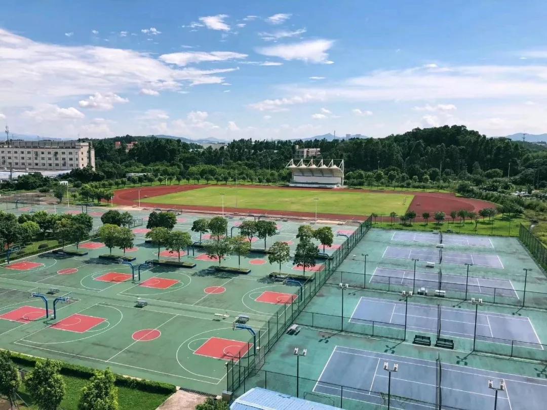 广东省内的大专院校排名表,广东省民办大专排行榜