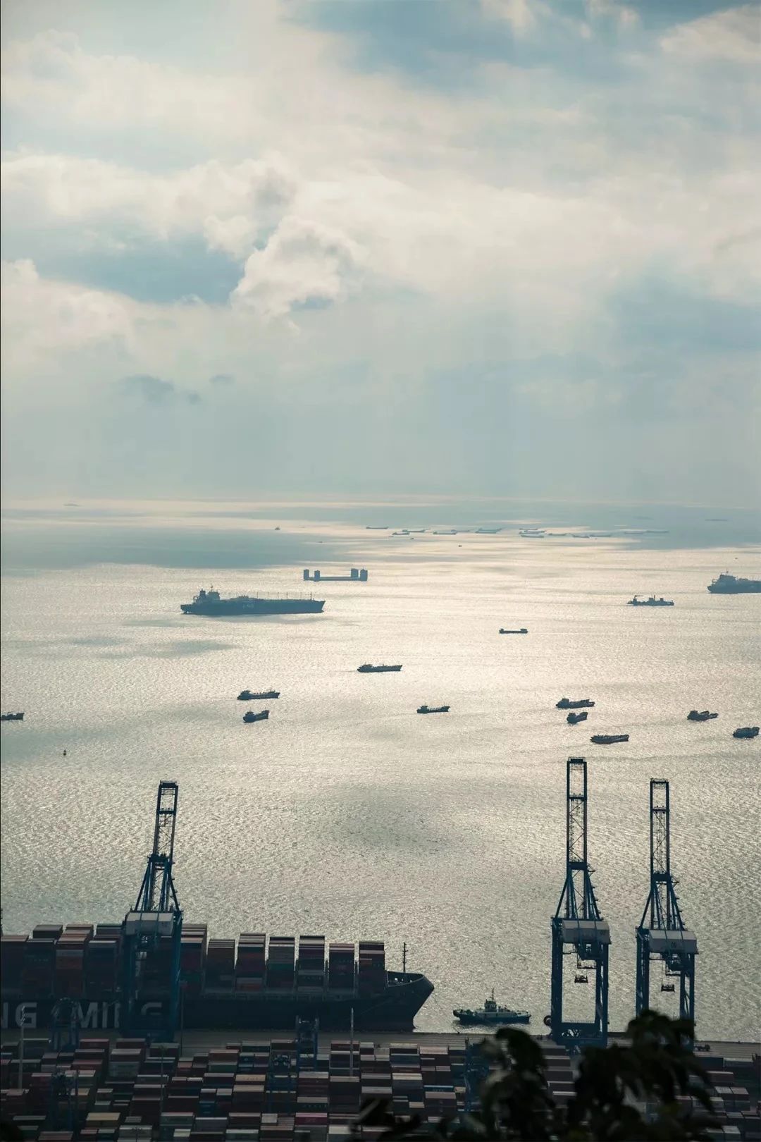 深圳这27个热门游玩地，坐2号线全都能到