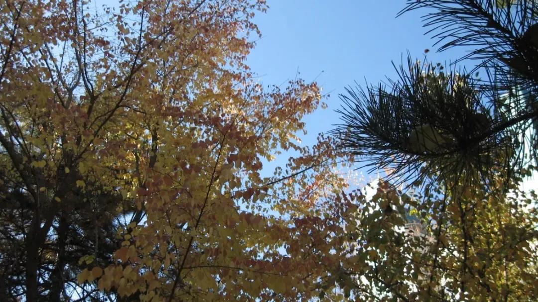 吉林省独立院校（三）长春工业大学人文信息学院