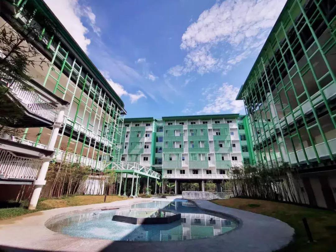 2022至2025年杭州全市新建学校,杭州最新投入使用的小学