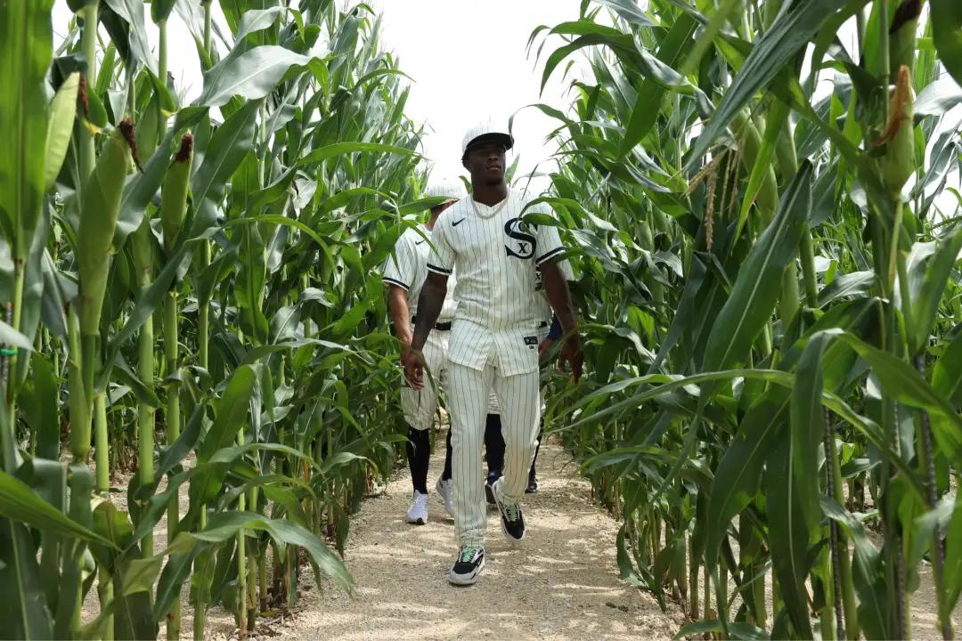 姊﹀够涔嬪湴婕斿敱,姊﹀够涔嬪湴妫掔悆