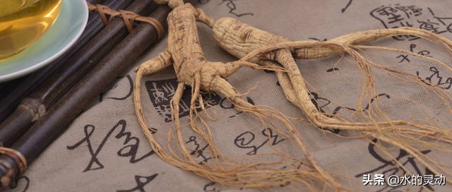 女性月经提前什么原因造成的,女性月经提前是什么原因