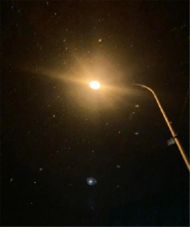 张一山发微博为杨紫庆生,张一山发微博给杨紫庆生评论区