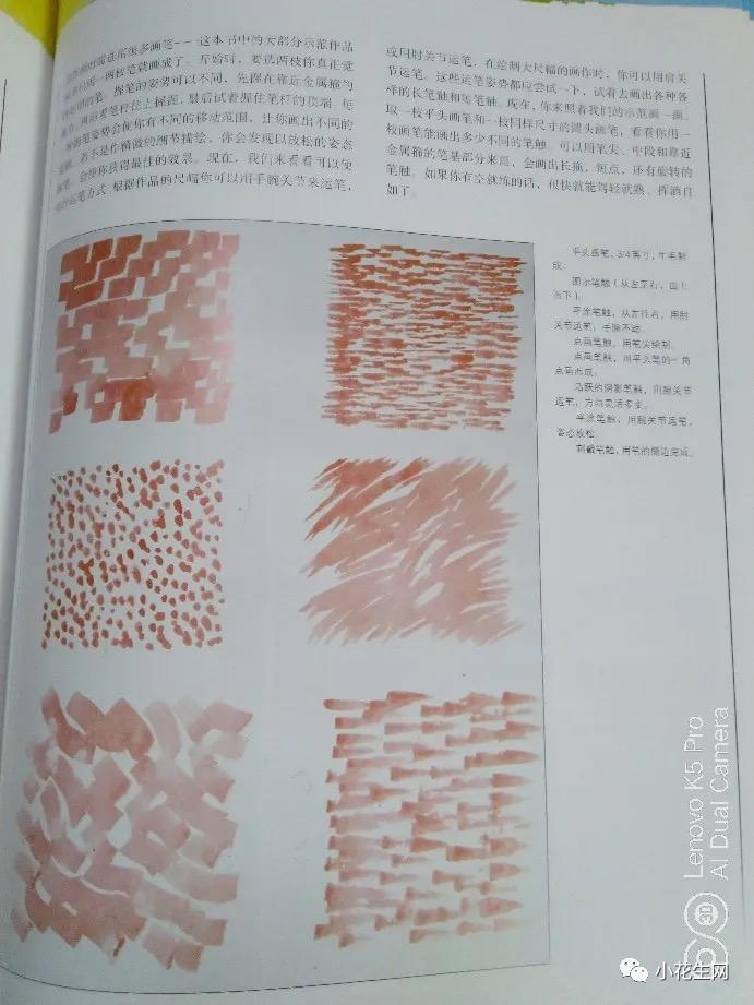 从零开始学绘画必备的画,从零开始学绘画第一步教程