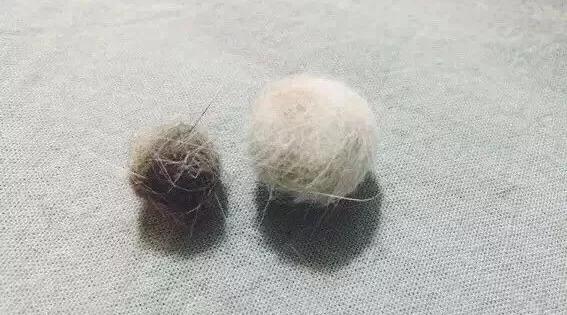 猫撸毛的工具,去猫毛神器推荐实测有效第一