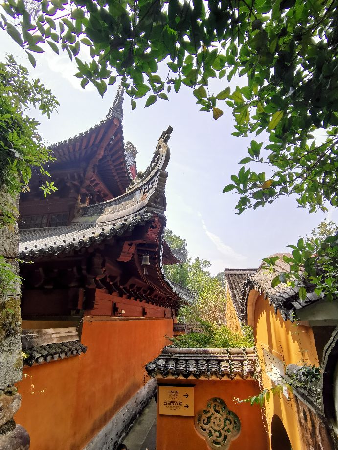 浙江观后感300字,关于浙江天台风景的作文