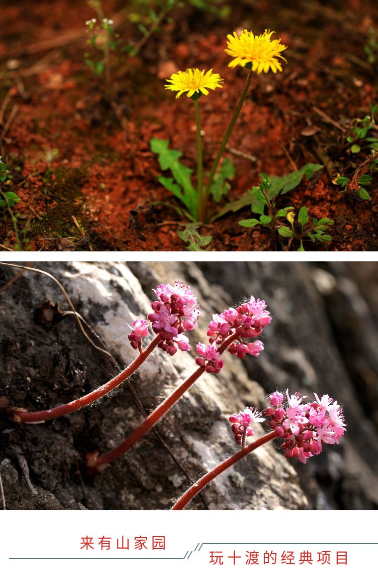 北京郊游去的民宿,北京郊游民宿
