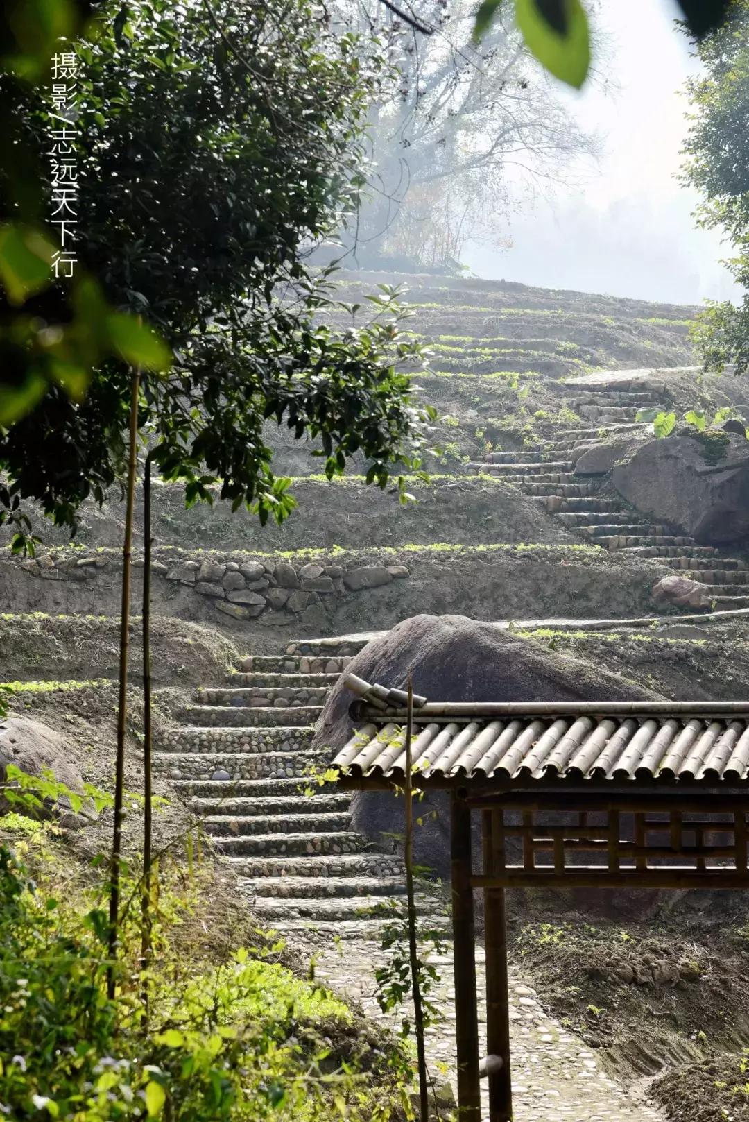 悠然三明：梅列瑞云山为佛，葡萄美酒配熏鸭