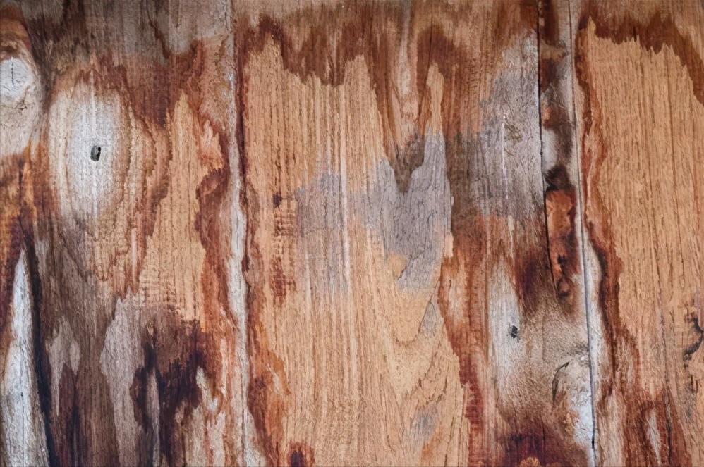 木材知识有哪些,木材知识大全樱桃木