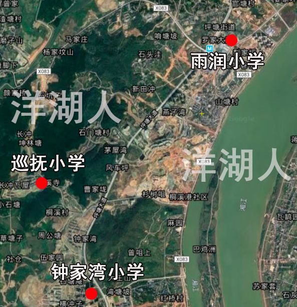 岳麓区规划中小学,岳麓区打造分校