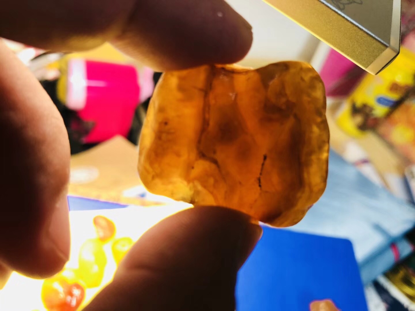 钓鱼钓到意外之物,游钓俄罗斯远东