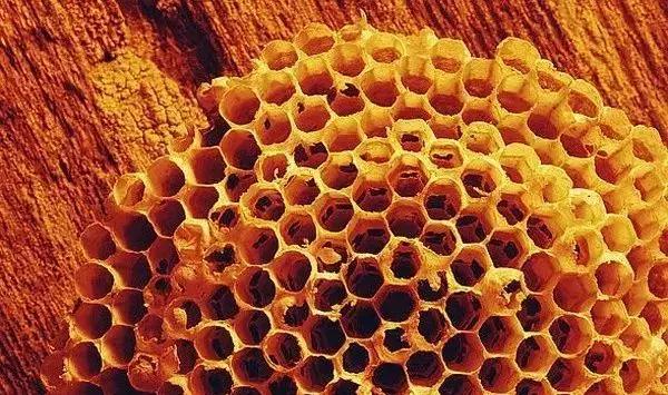 大漆加桐油怎么做面漆干的快又亮,桐油和水性清漆