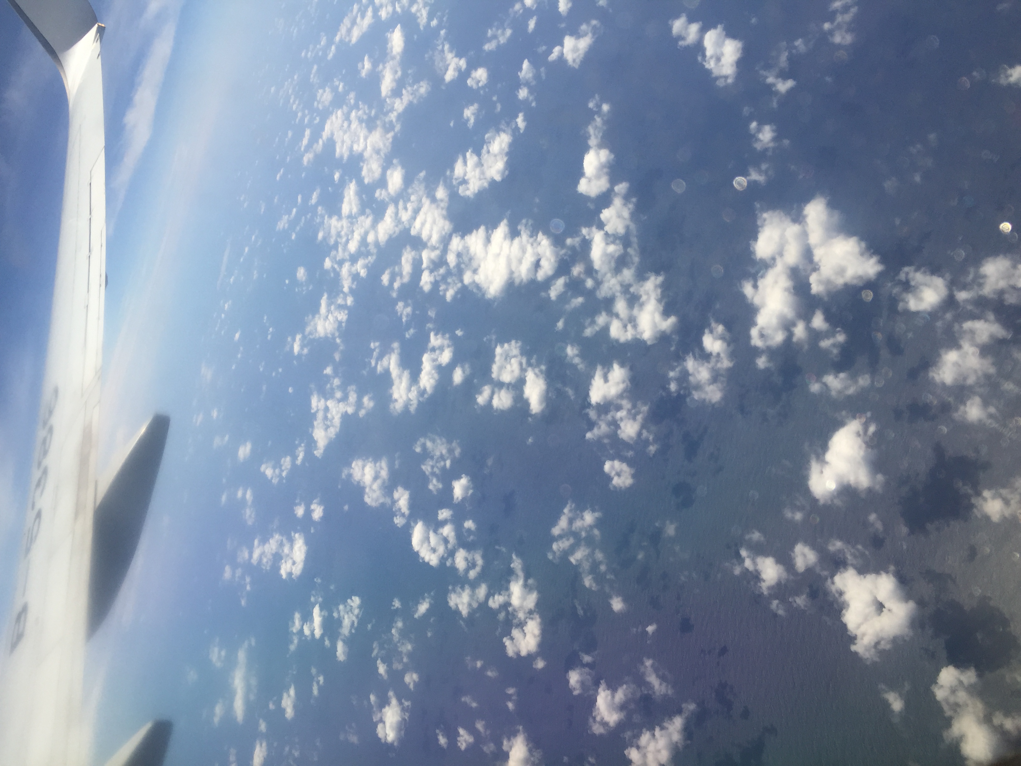 玩转沙巴海钓攻略,沙巴近海海钓