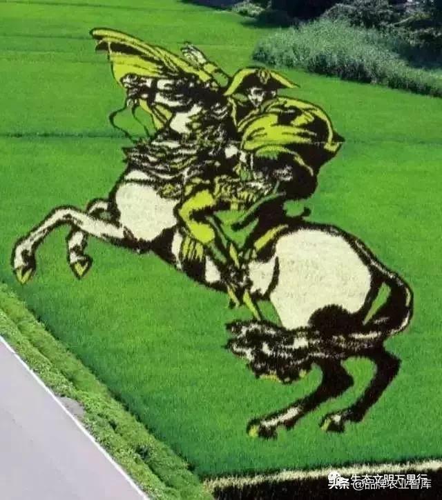 变态的日本农业:敬畏自然、超前思维、死磕单品!