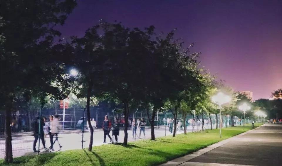 沈阳医学院在辽宁排名,沈阳医学院全面介绍