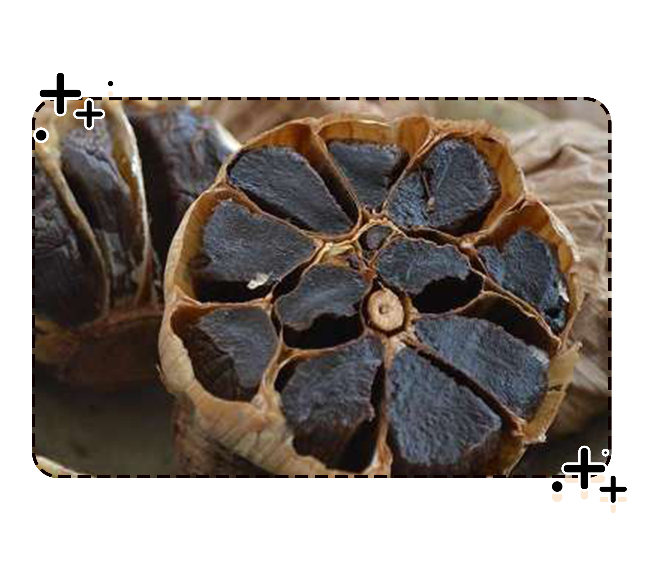 当一颗大蒜被黑了之后，吃货们发现了它的隐藏能力（菲李漫画）