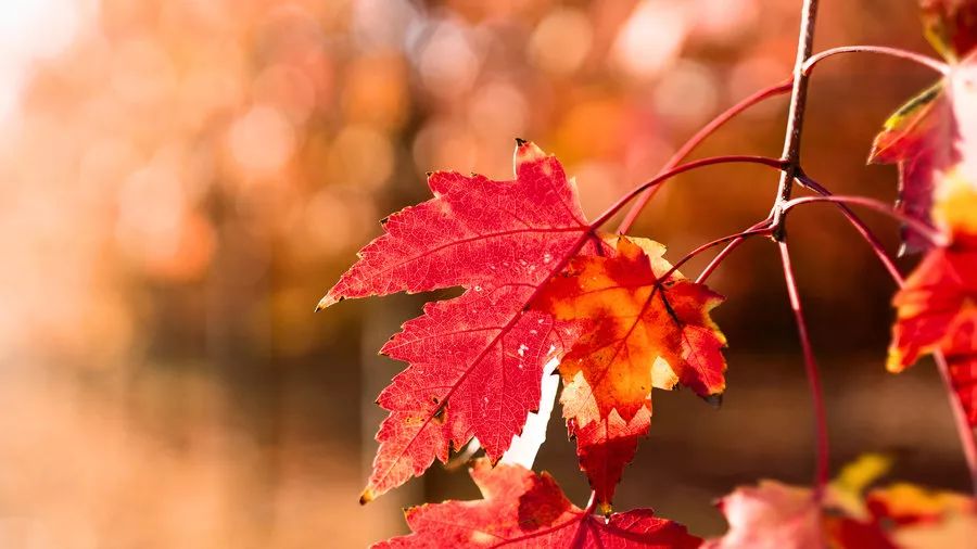 上海厉害了,厉害了上海