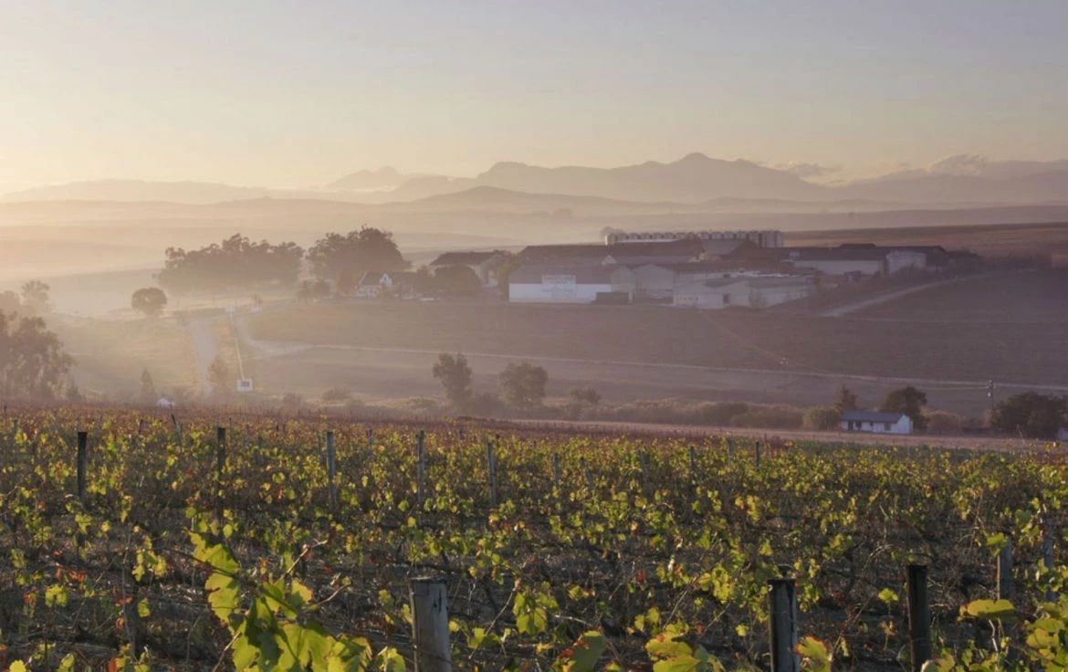 南非葡萄酒产区分布图,南非酒世界