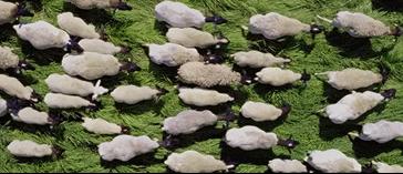 豆瓣9.3分这对夫妻打造1200亩生态农场，“堪称美版「李子柒」”