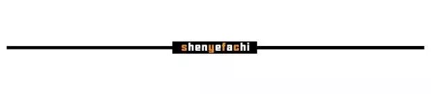 百元预算买到BV、CÉLINE的平替！美貌又时髦