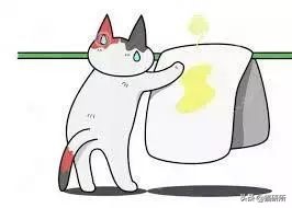 猫咪乱尿怎么办4招教你轻松解决,猫咪在衣服上乱尿是什么原因