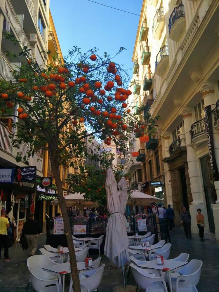 葡萄牙和西班牙哪个值得旅游,西班牙和葡萄牙旅游区别