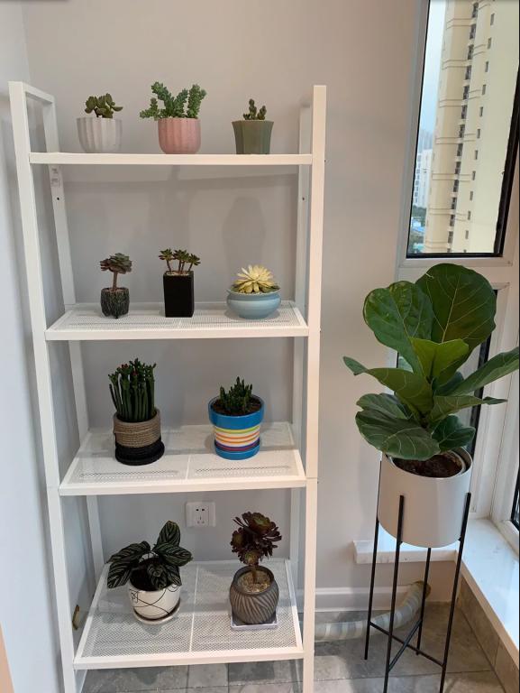 老婆坚持全屋不做吊顶，完工效果敞亮有档次，还省了2万块，晒晒