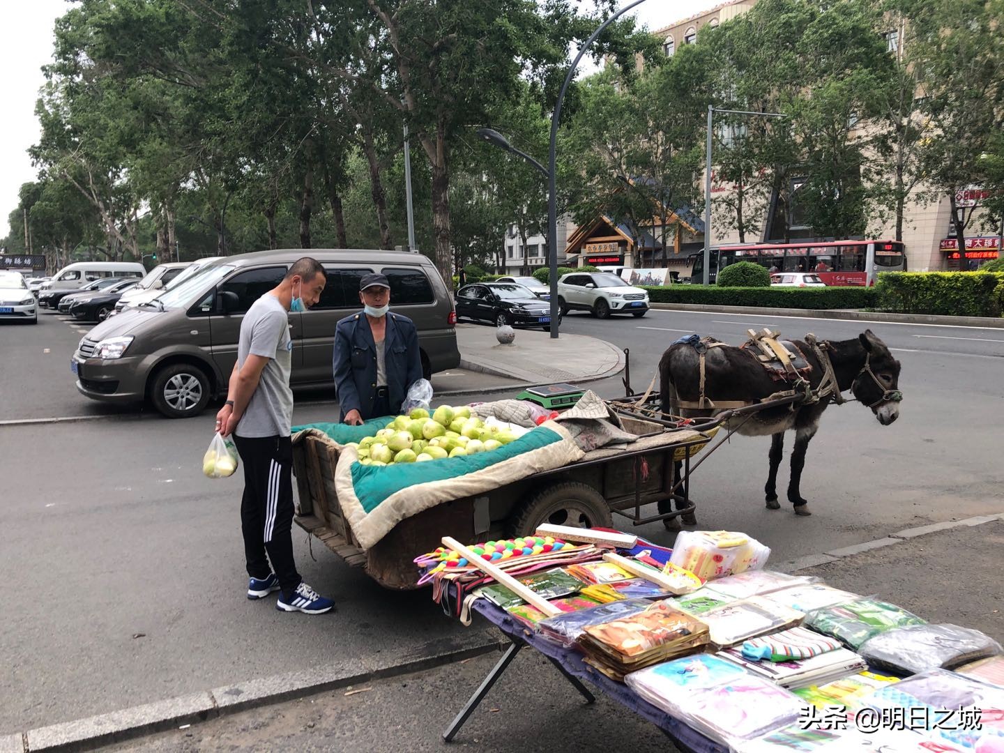 长春夜市地摊一览表南部新城夜市,长春适合夜市摆摊吗最近