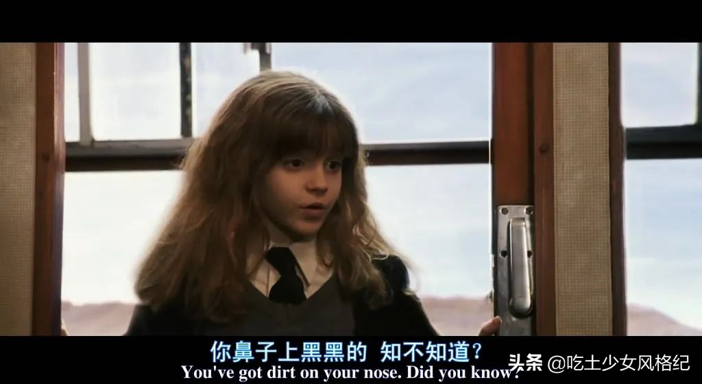 哈利波特四十岁生日的样子,哈利波特十九年后