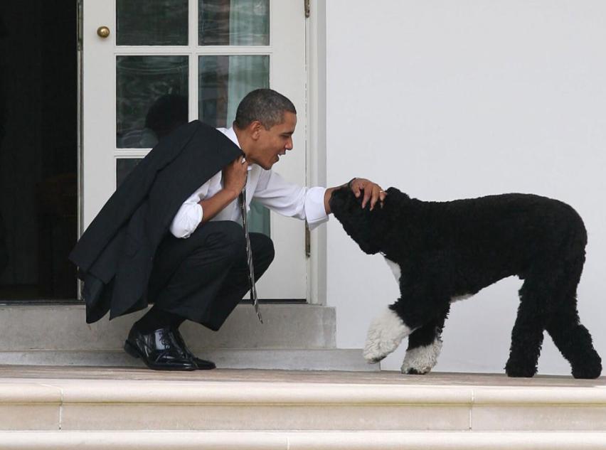 白宫动物简史：鸡、猫、狗、鸟、马、鼠、浣熊，甚至还有鬣狗