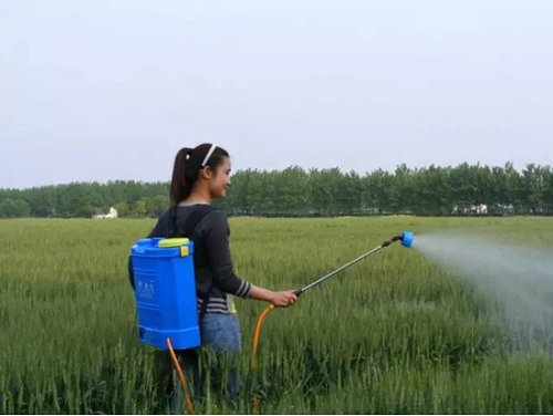 2018有前景的农村创业项目,2024年农村创业致富好项目