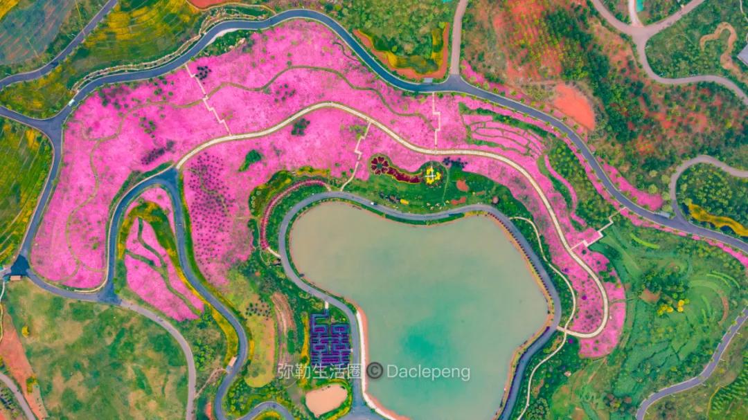 云南最美小镇图片,云南太平湖森林公园花海