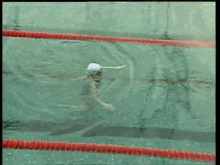 自由泳滚翻转身蹬壁,前滚翻动作练习方法步骤