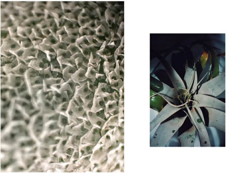 微观世界大自然,微观世界的神奇视频