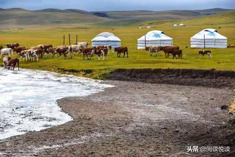 锡林郭勒盟乌拉盖草原视频,锡盟美景乌珠穆沁草原