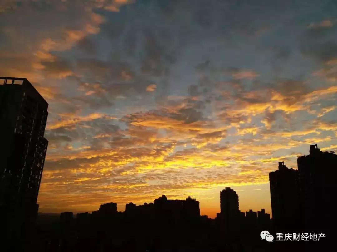 重庆楼市真实现状,重庆房子到底好不好卖
