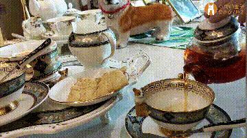 马克深圳最秀狗咖