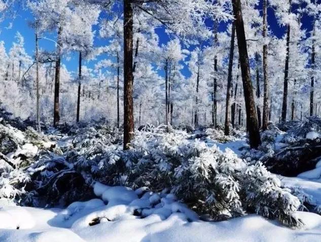 此生必去看一次雾凇太美了,此生必去看一次雾凇简直要美哭了