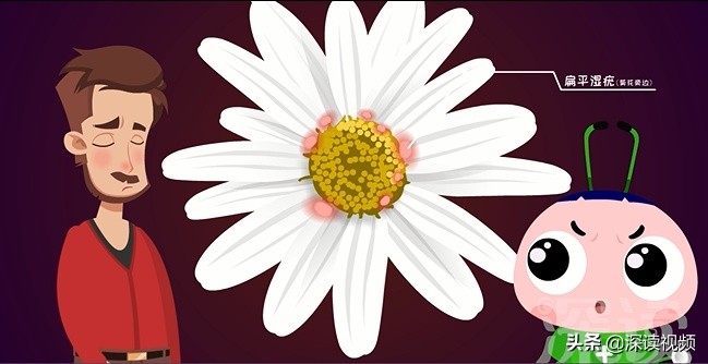 梅毒上热搜，隐私部位出现啥样要警惕？