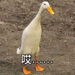 考研英语零基础要怎么开始准备,英语0基础考研现在备考来得及么