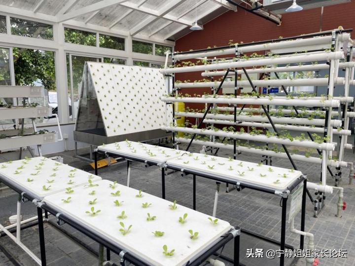 瀹堕暱瀵瑰鏍″ぇ璧拌璋冪爺鎰忚,瀹堕暱鎺㈣澶╁簻涓冧腑