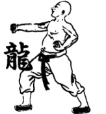 少林拳术秘诀，技击宗法入门