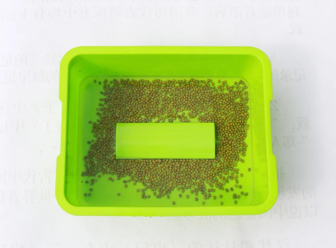 室内空心芽苗菜无土栽培种植,芽苗菜的种植方法全集免费看