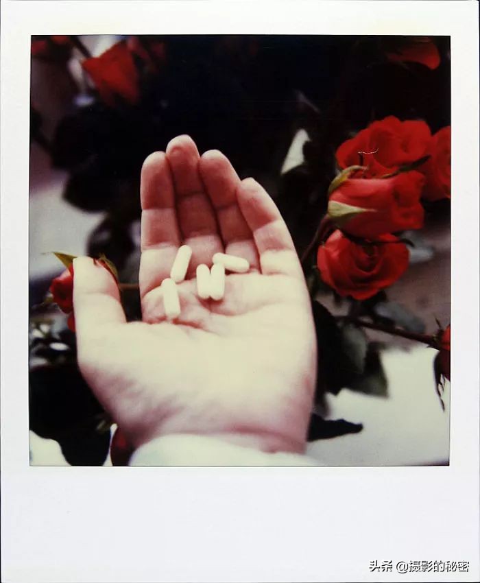 情迷宝丽来：十八年的不间断拍摄，直到死亡