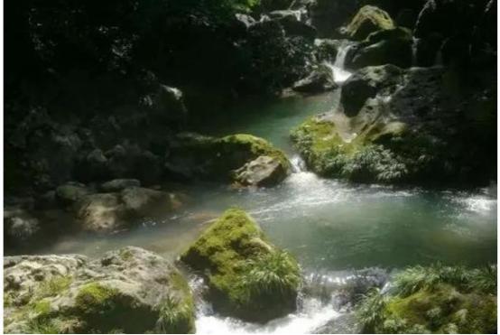 保康马良附近游玩景区,保康马良镇景区