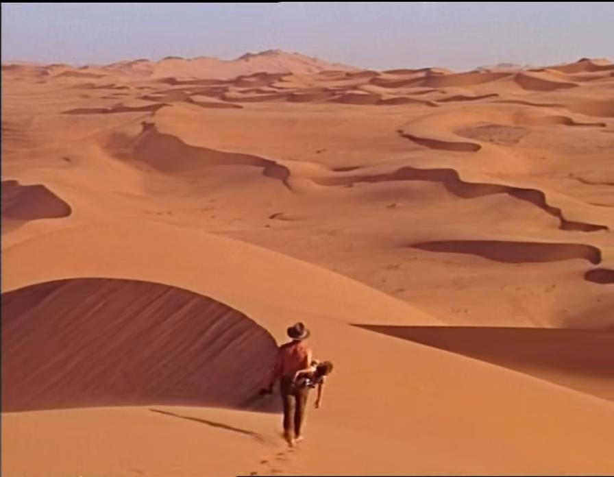 蛇咬蝎追，八岁男童如何在沙漠里生存三周？